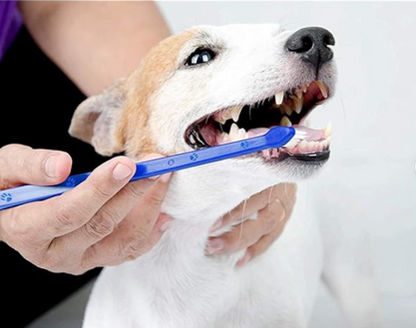 Kit de Limpieza Dental para Mascotas